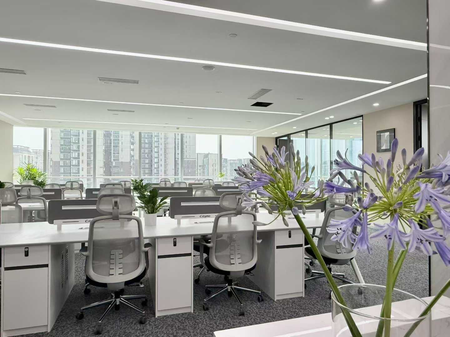 攀成钢超甲高端楼盘 服务面积370平 4隔间36工位  双面采光 精装带家具 光环中心办公室出租