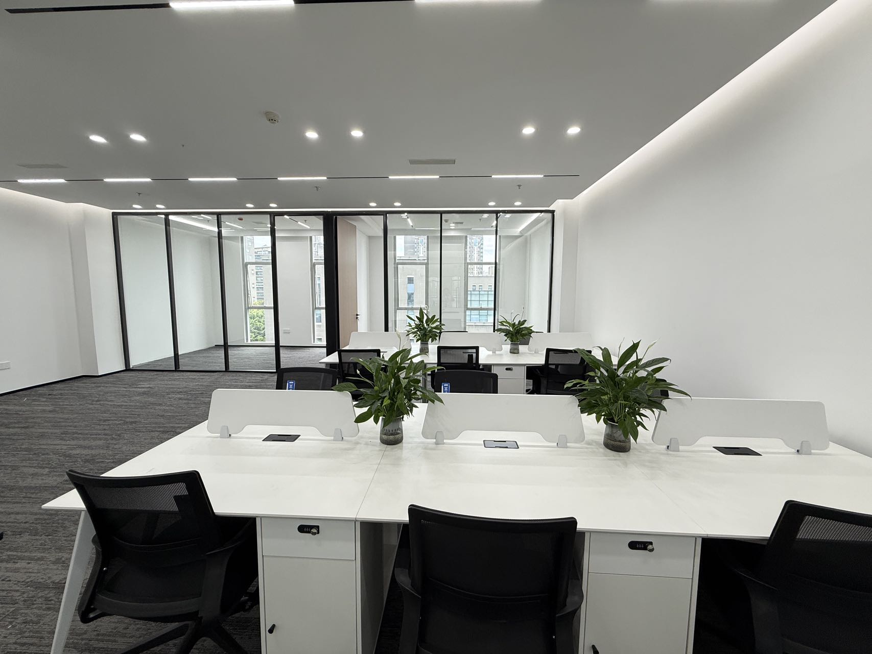 天府五街园区办公 自然氧吧 按套出租 2隔间24工位 精装带家具 含物业费 软件园D4办公室出租