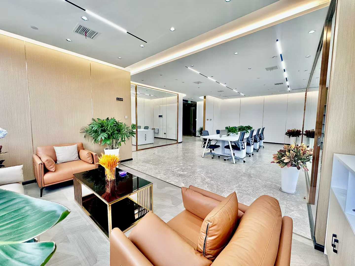 高新区近高新地铁 核心位置 163平方 3隔间16工位 大老板间 双面采光 视野巴适 带家具 晶科一号办公室出租