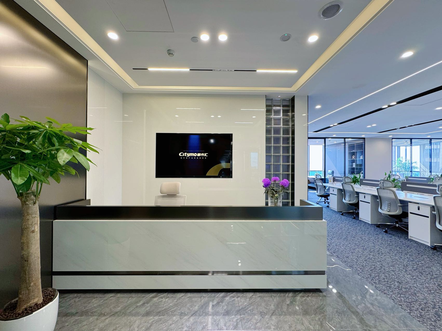 高新区世纪城地铁口甲级整层打造 356平5隔间36工位 带共享配套 高区双面采光 东方希望天祥办公室出租