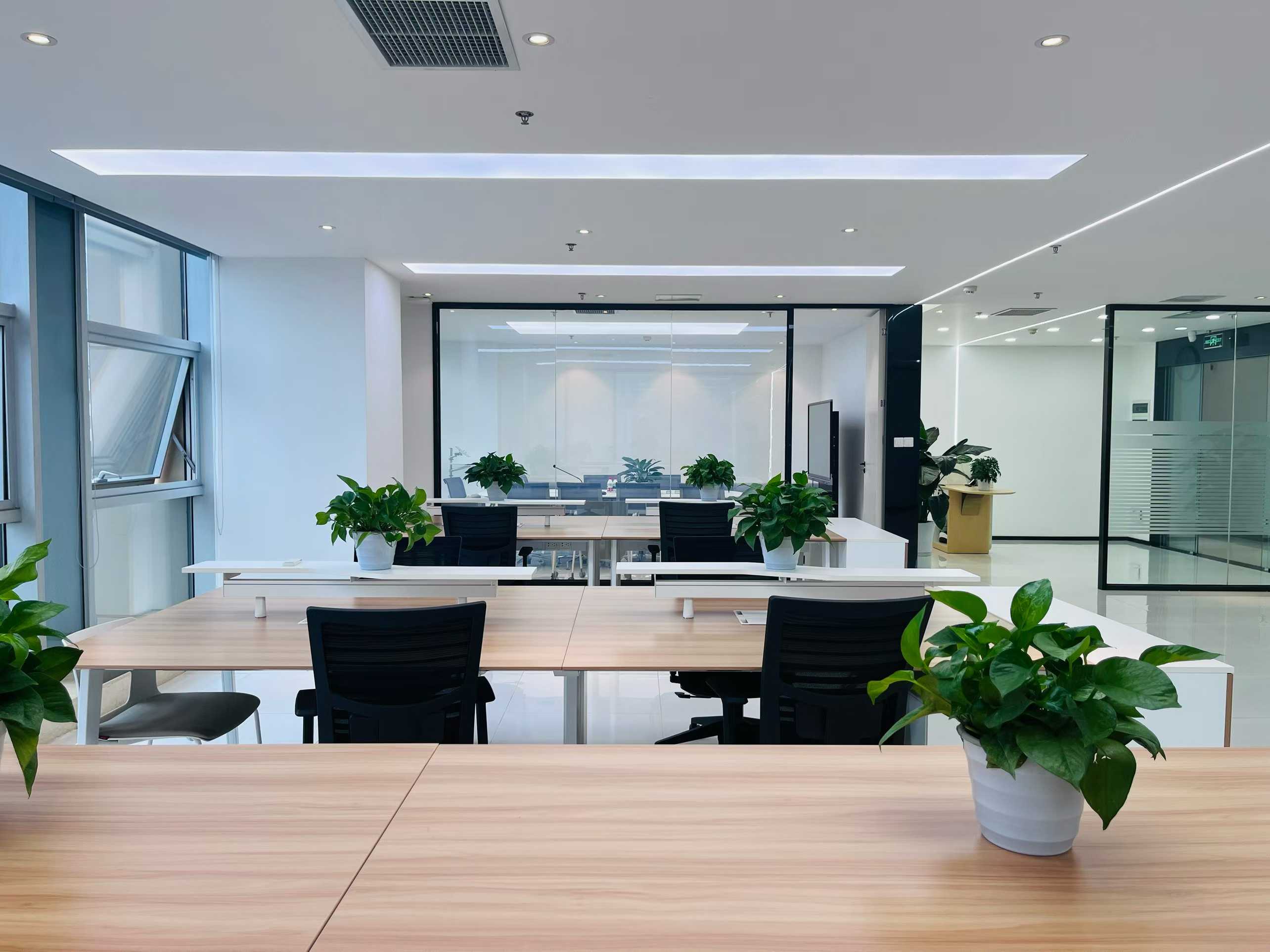 天府三街老超甲写字楼 24小时空调 双面采光 277平 4隔间35工位带库房 特价含家具 节能大厦办公室出租