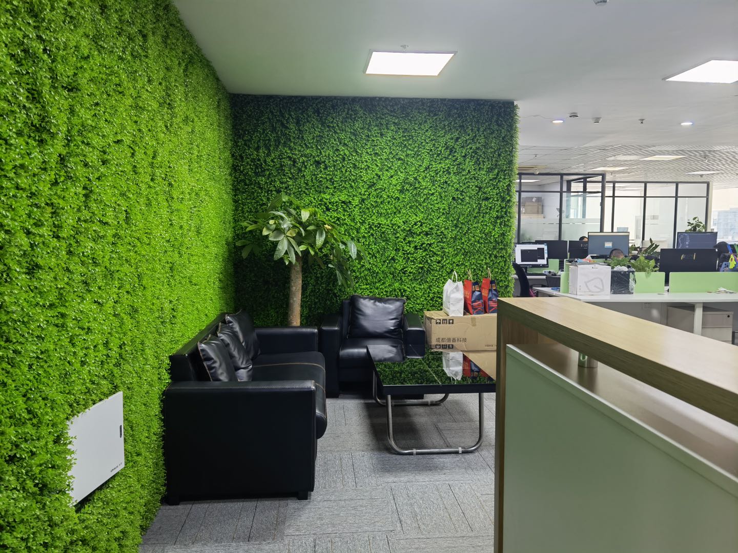 金融/建筑指定写字楼丨奥克斯广场300平米绿植装饰墙+沙发接待区