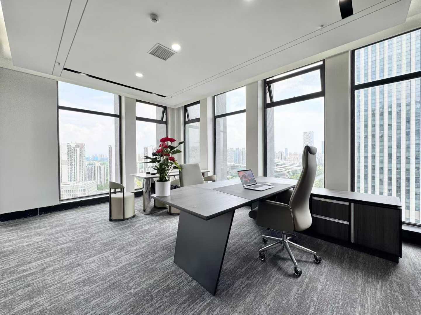 高新区天府三街地铁口 366平 5隔间36工位 带大会议室 24小时空调 东南朝向 新希望国际办公室出租