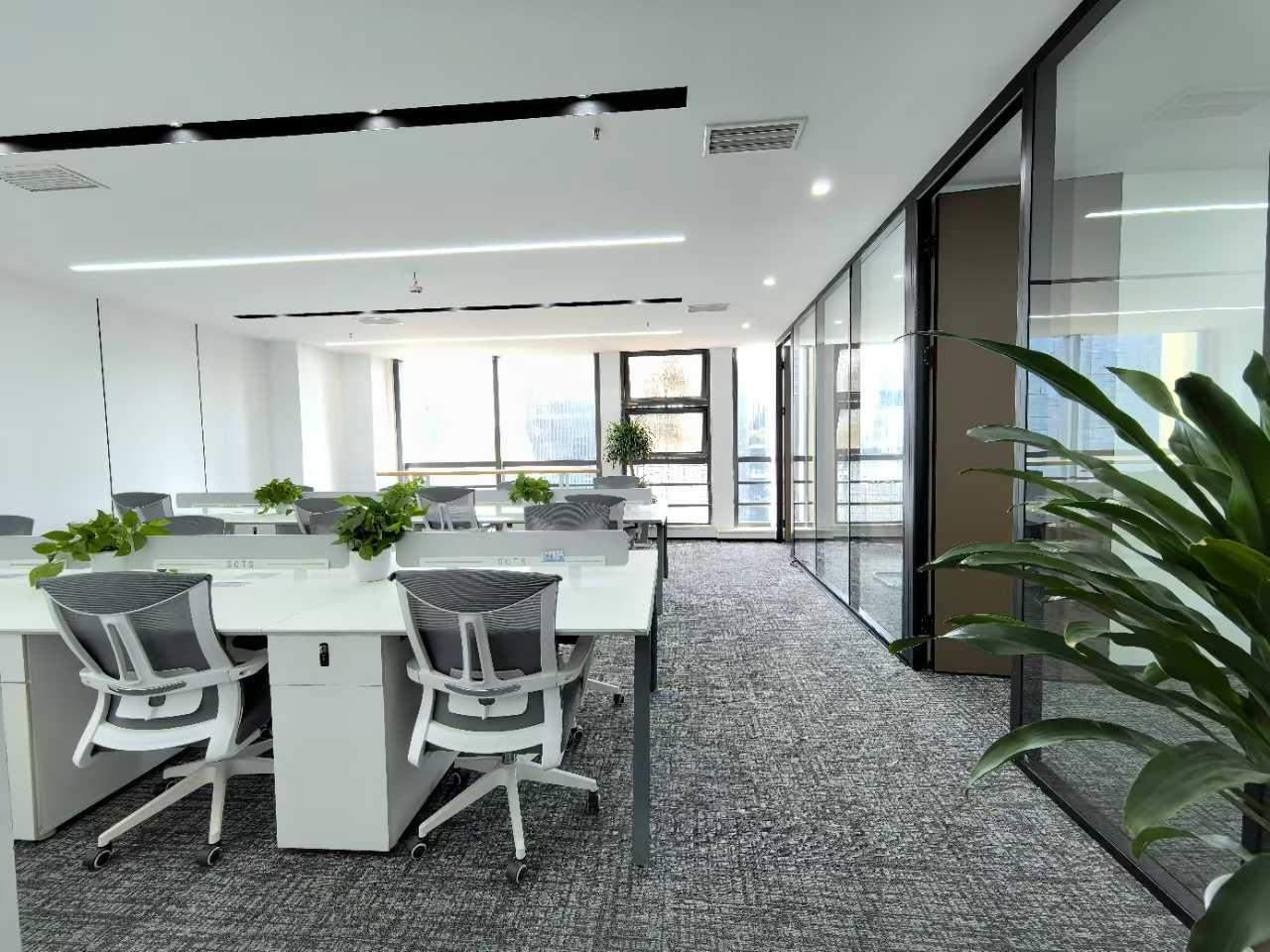 世纪城正对电梯口小户型 按套出租 3隔间18工位 报价含物业费 带家具可调整 蜀都中心办公室出租