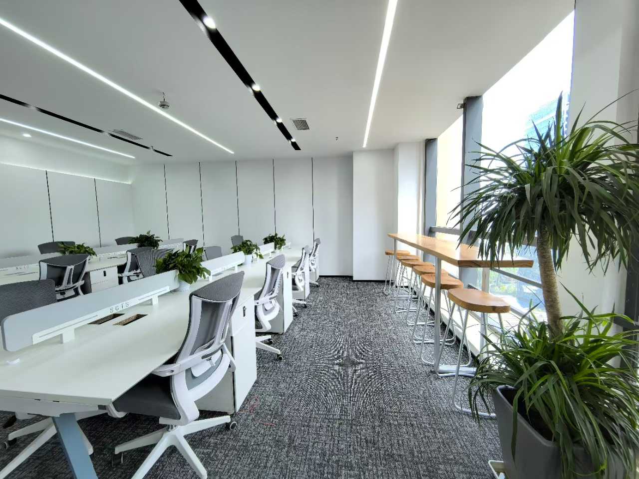 世纪城正对电梯口小户型 按套出租 3隔间18工位 报价含物业费 带家具可调整 蜀都中心办公室出租