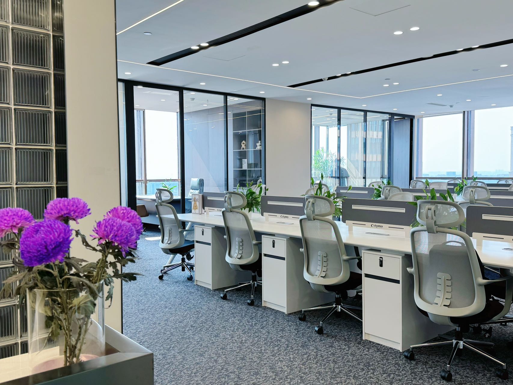 高新区世纪城地铁口甲级整层打造 356平5隔间36工位 带共享配套 高区双面采光 东方希望天祥办公室出租