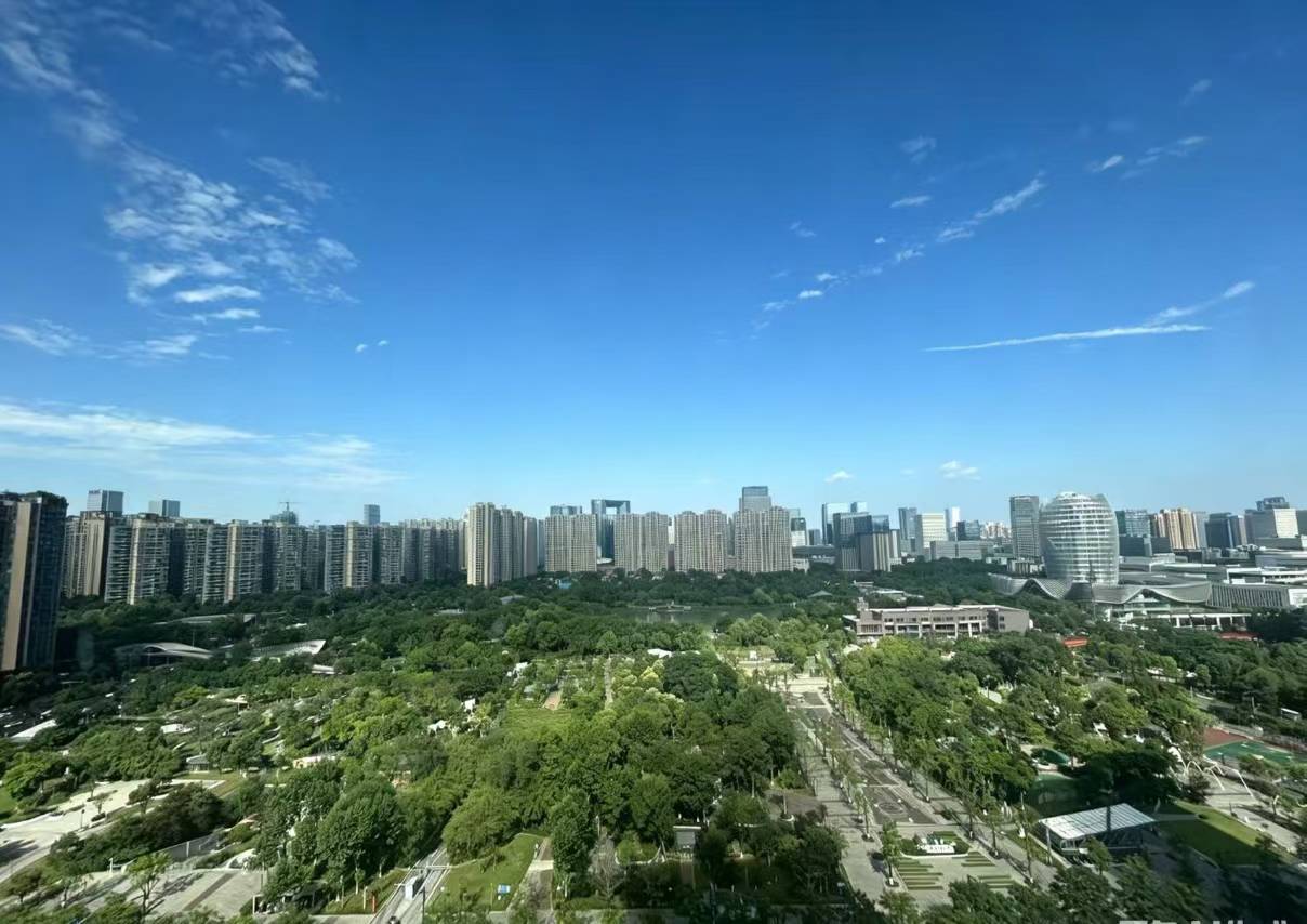 高新区大源版块 3+24/4+16 朝公园双面采光 视野巴适 地铁口 世豪广场办公室出租